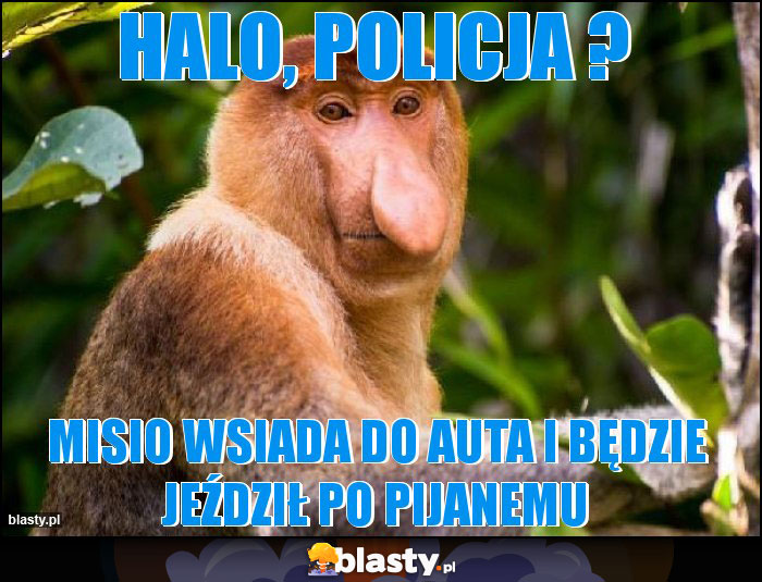 Halo, Policja ?