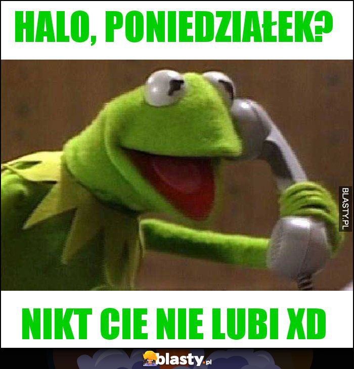 Halo, Poniedziałek?