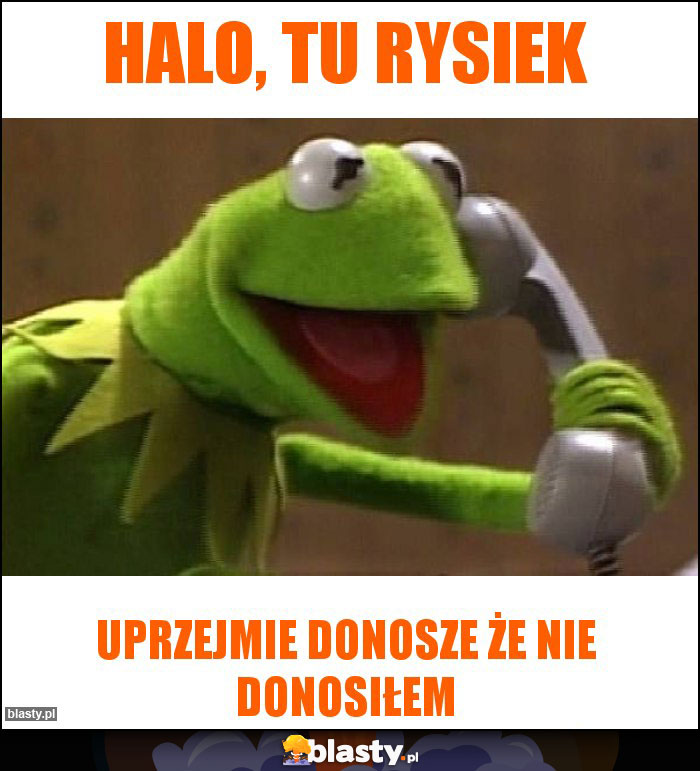 Halo, tu rysiek