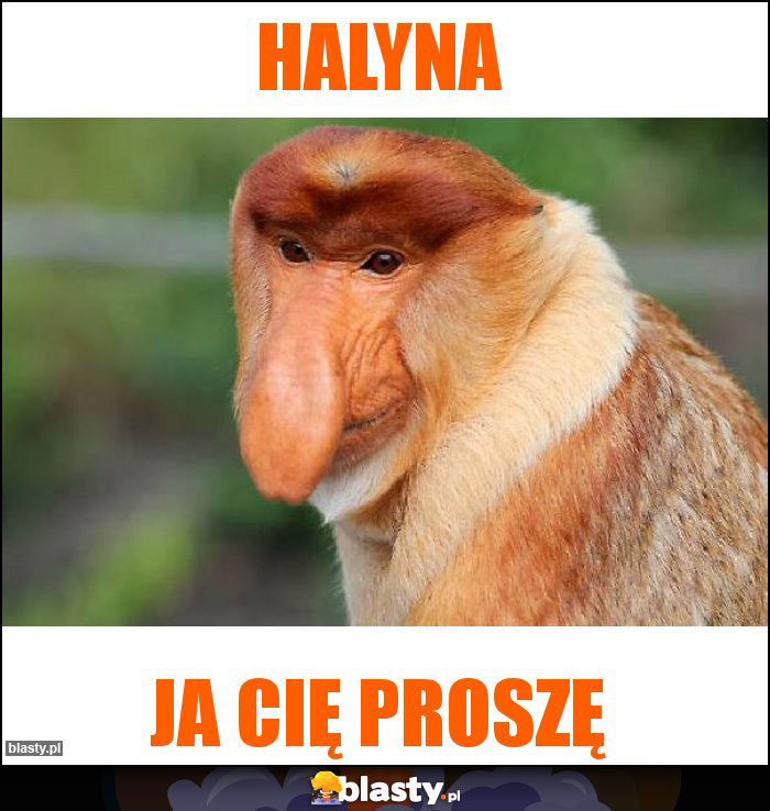 Halyna