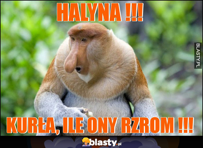 Halyna !!!