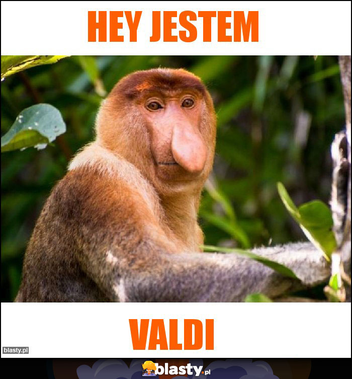 Hey jestem