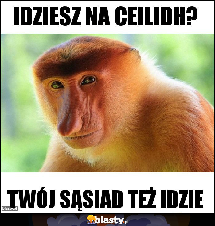 Idziesz na Ceilidh?