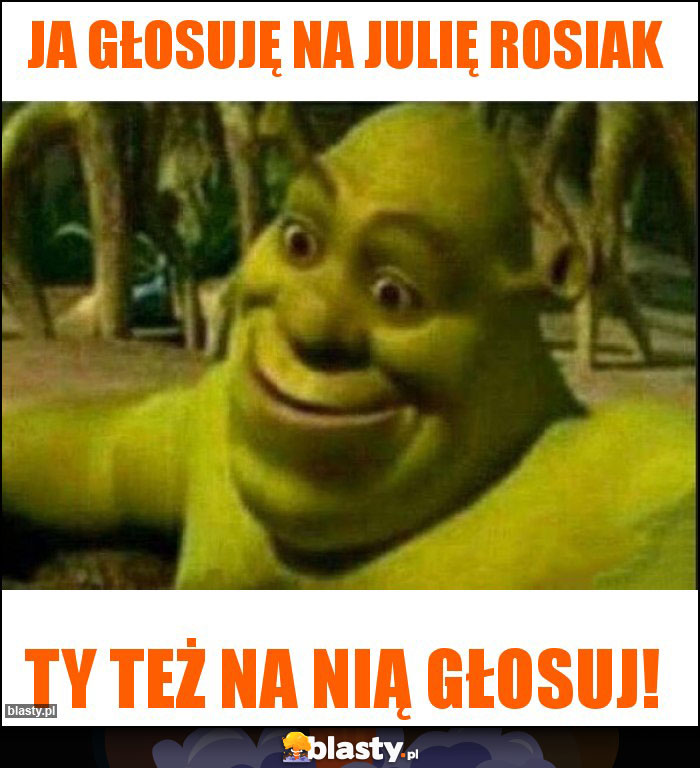 ja głosuję na Julię Rosiak