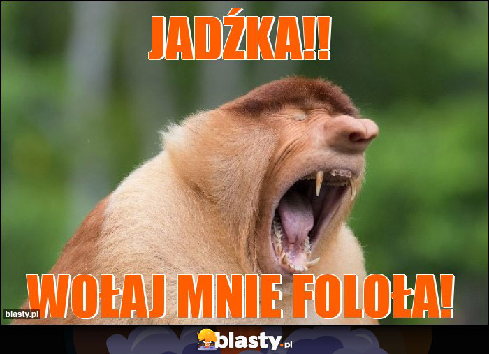 JADŹKA!!