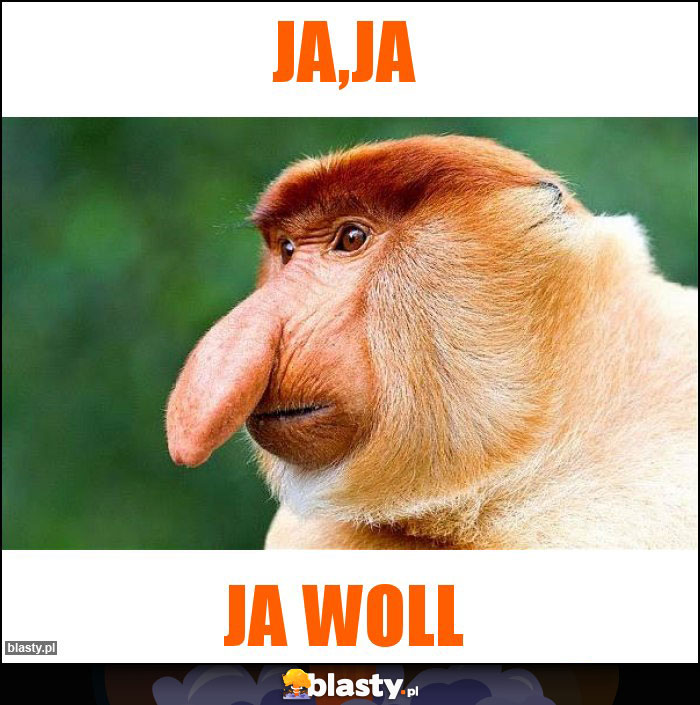 Ja,ja