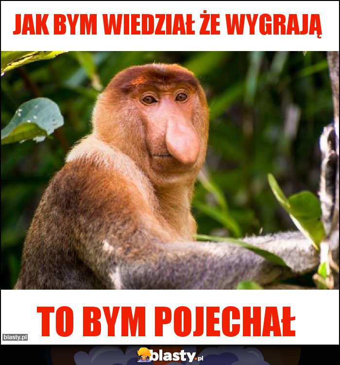 Jak bym wiedział że wygrają