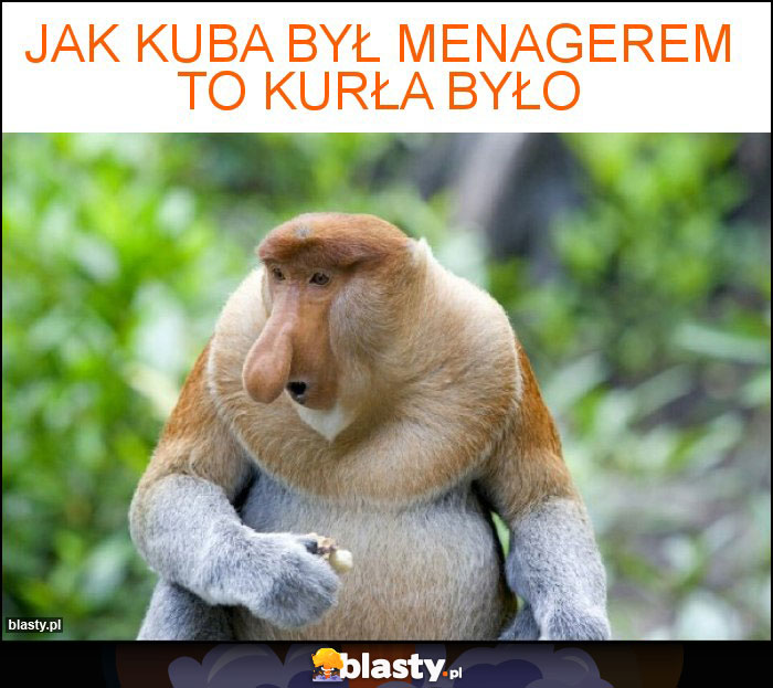 Jak Kuba był menagerem to kurła było