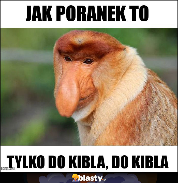 JAK PORANEK TO