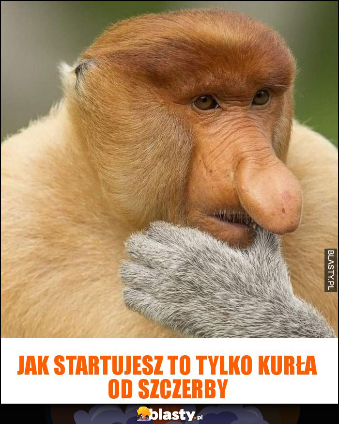 Jak startujesz to tylko KURŁA od SZCZERBY