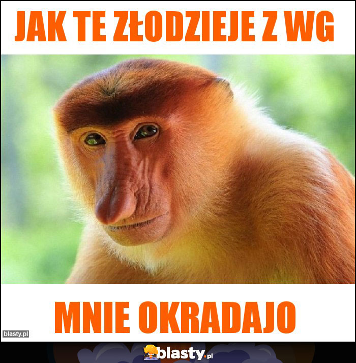 Jak te złodzieje z WG