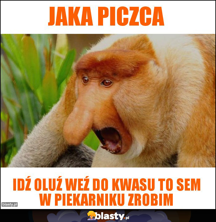 Jaka piczca