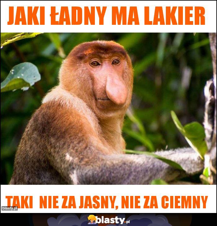 Jaki ładny ma lakier