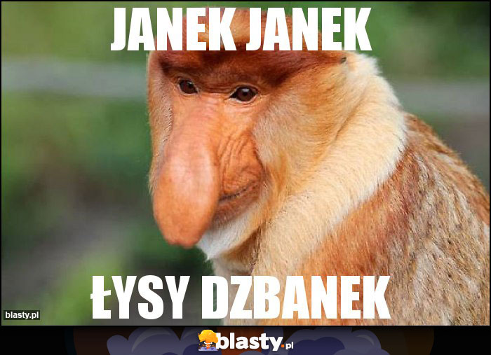 Janek janek