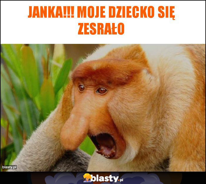 Janka!!! Moje dziecko się zesrało