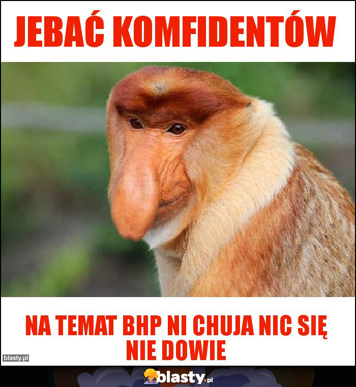 Jebać komfidentów