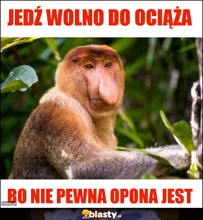 Jedź wolno do Ociąża