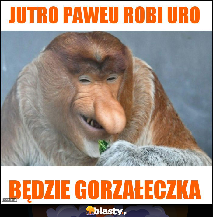 jutro Paweu robi URO