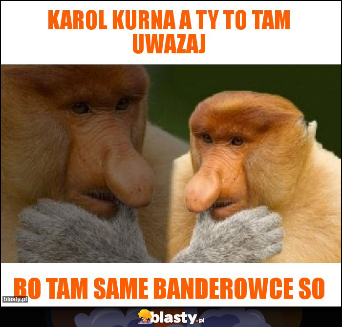 Karol kurna a ty to tam uwazaj