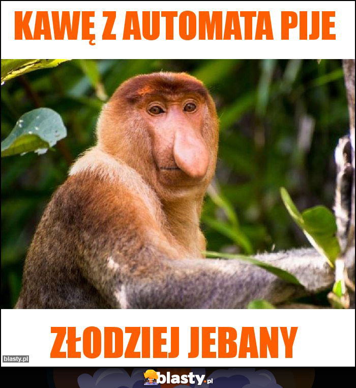 Kawę z automata pije