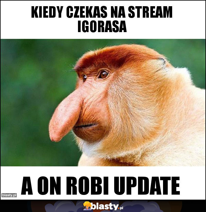 Kiedy czekas na stream Igorasa