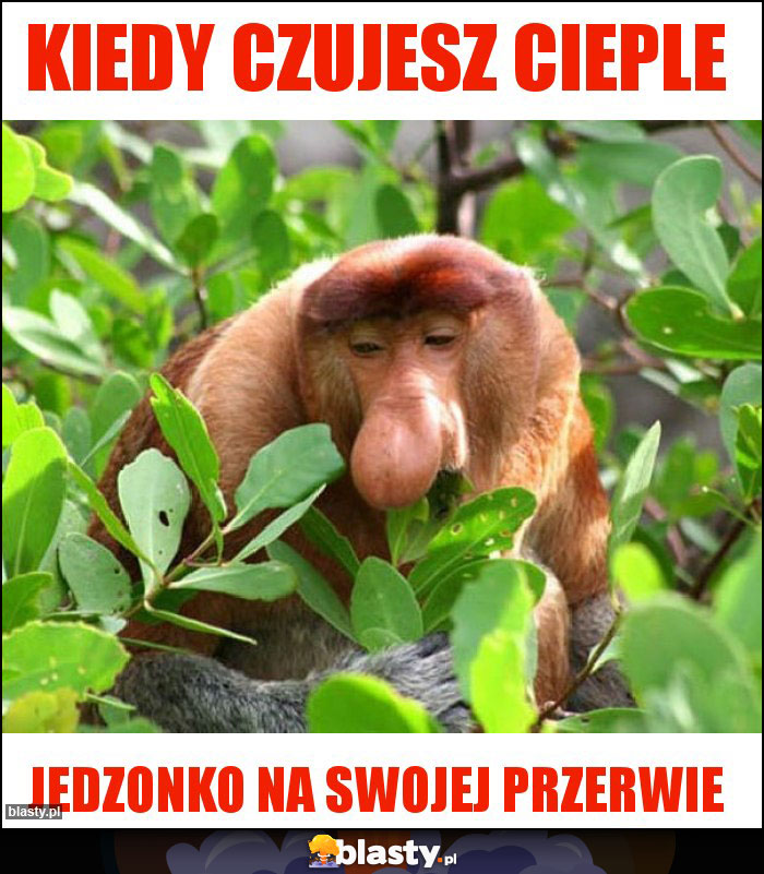 Kiedy czujesz cieple