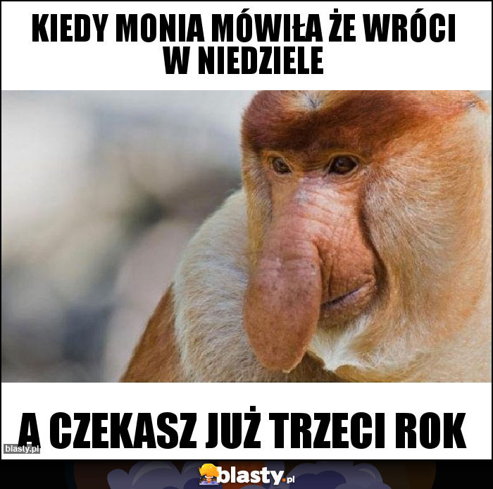 Kiedy Monia mówiła że wróci w niedziele