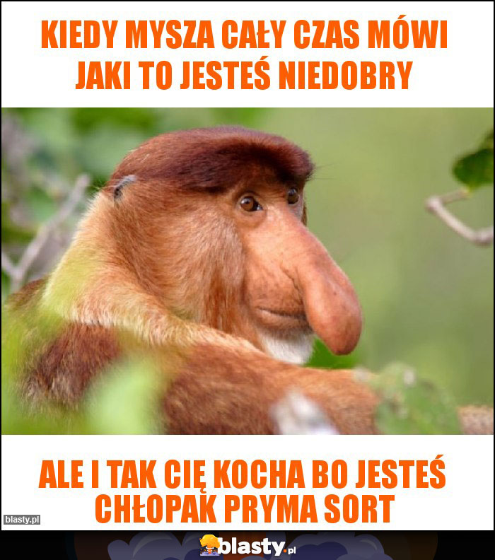 Kiedy Mysza cały czas mówi jaki to jesteś niedobry