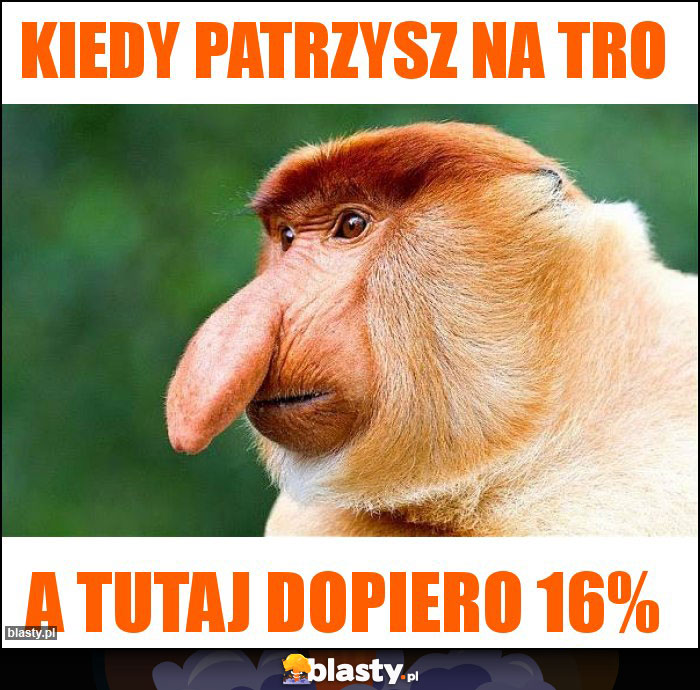 Kiedy patrzysz na TRO