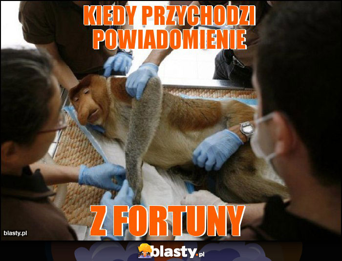 KIEDY PRZYCHODZI POWIADOMIENIE