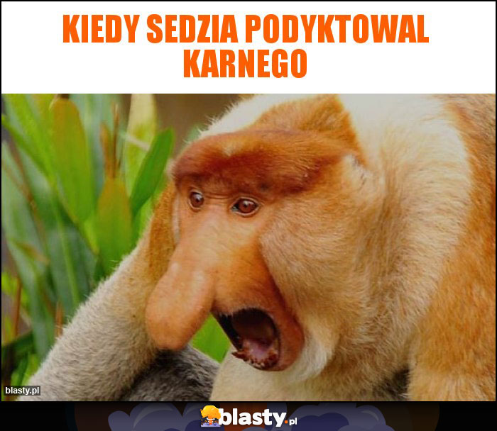 kiedy sedzia podyktowal karnego