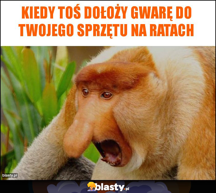 kiedy toś dołoży gwarę do twojego sprzętu na ratach