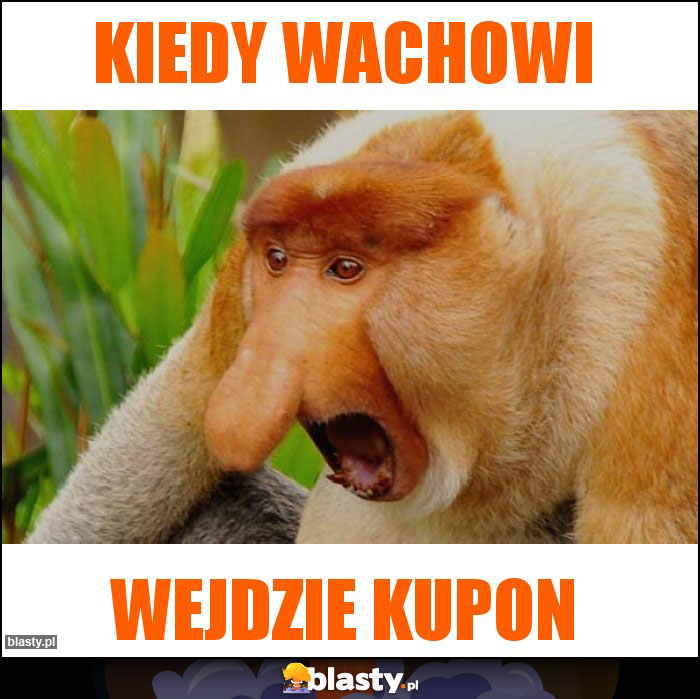 Kiedy wachowi