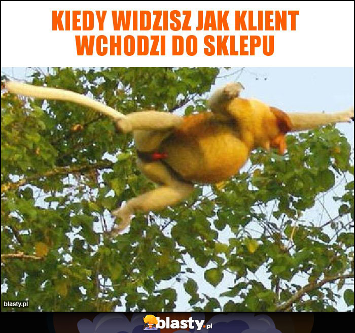 kiedy widzisz jak klient wchodzi do sklepu