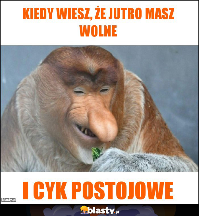 Kiedy wiesz, że jutro masz wolne