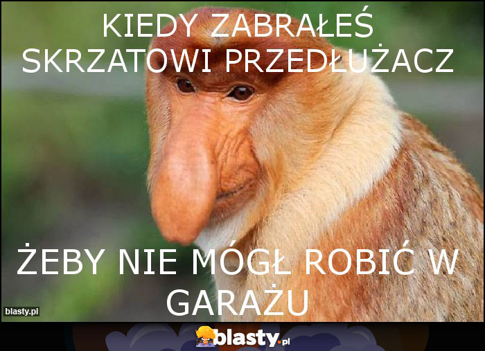 Kiedy zabrałeś skrzatowi przedłużacz