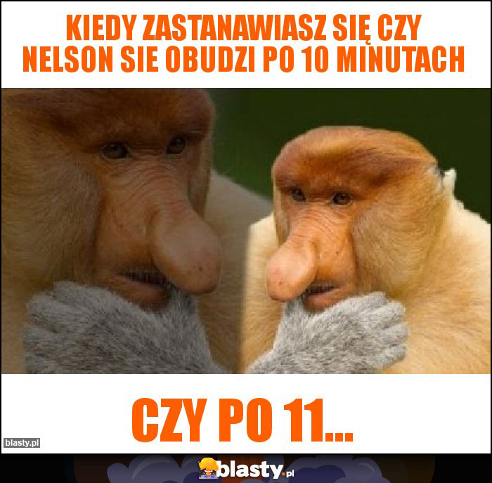 Kiedy zastanawiasz się czy Nelson sie obudzi po 10 minutach