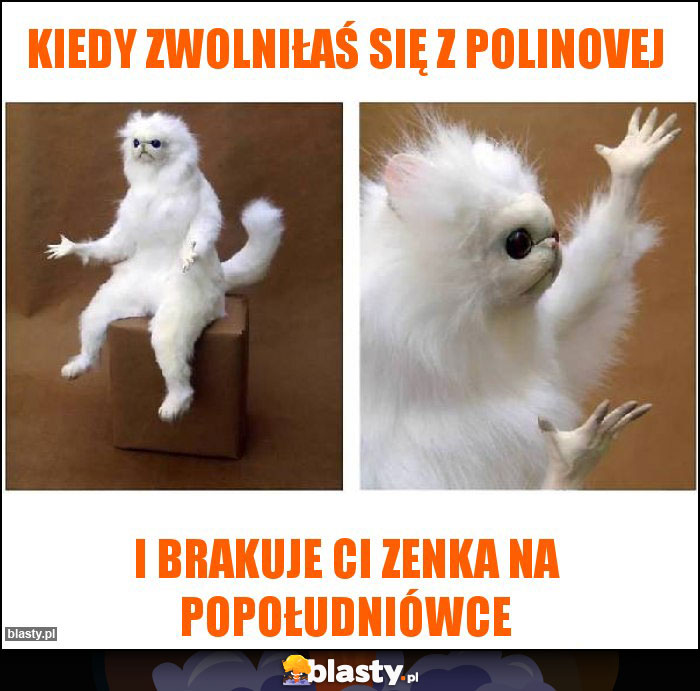 kiedy zwolniłaś się z polinovej