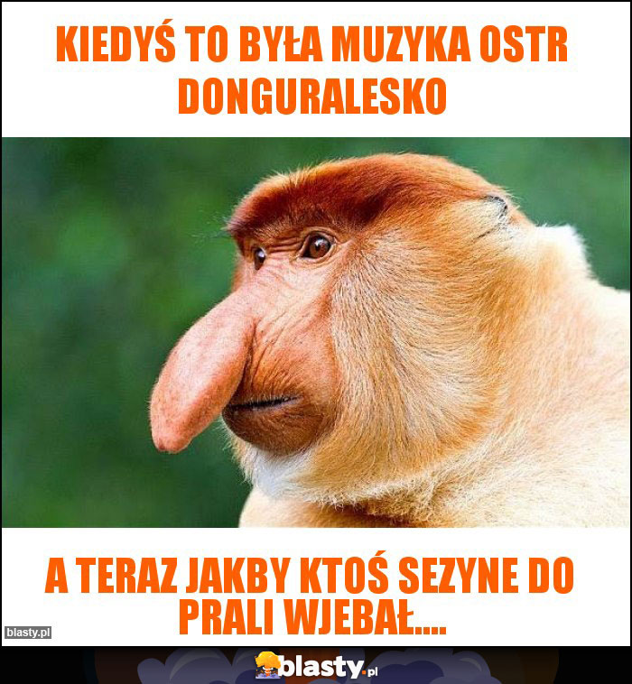 Kiedyś to była muzyka OSTR DONGURALESKO