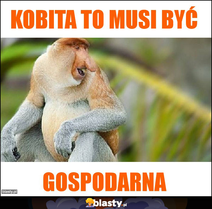 Kobita to musi być