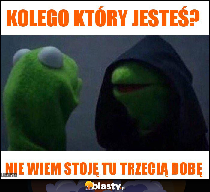 Kolego który jesteś?