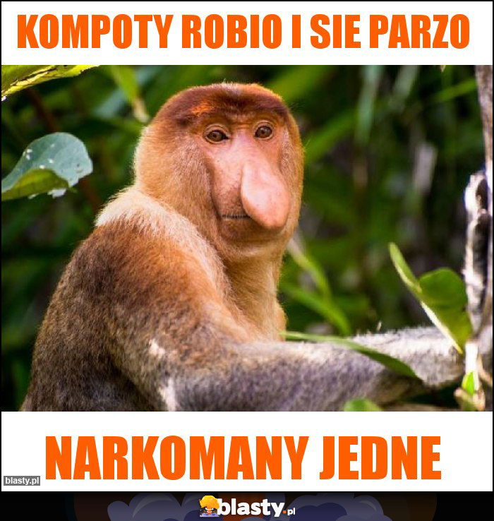 kompoty robio i sie parzo