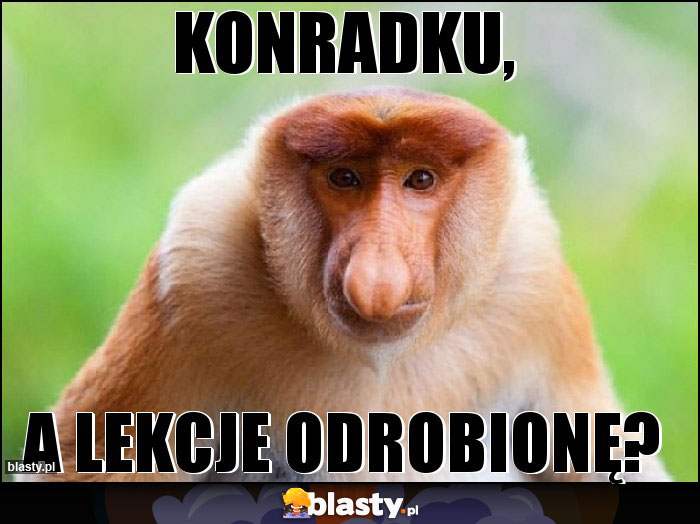 Konradku,