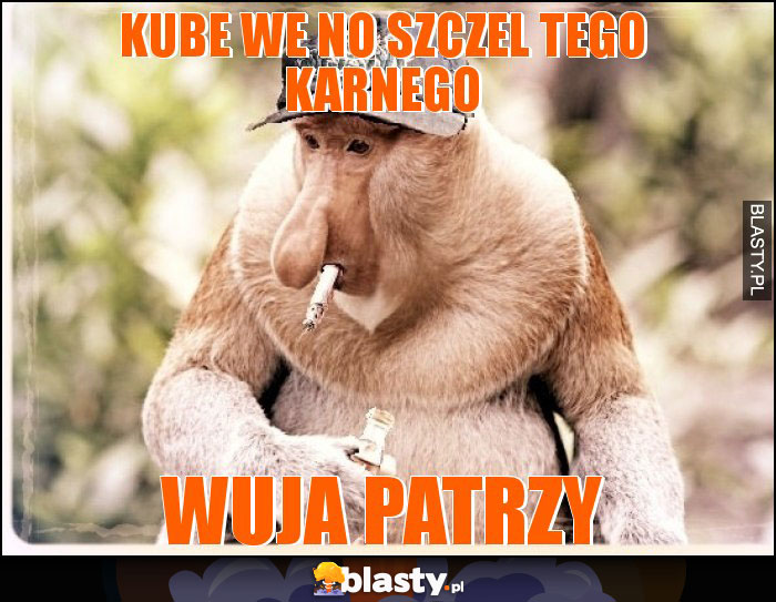 Kube we no szczel tego karnego