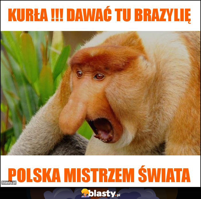 Kurła !!! Dawać tu Brazylię