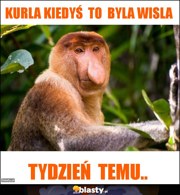 Kurla kiedyś  to  byla Wisla