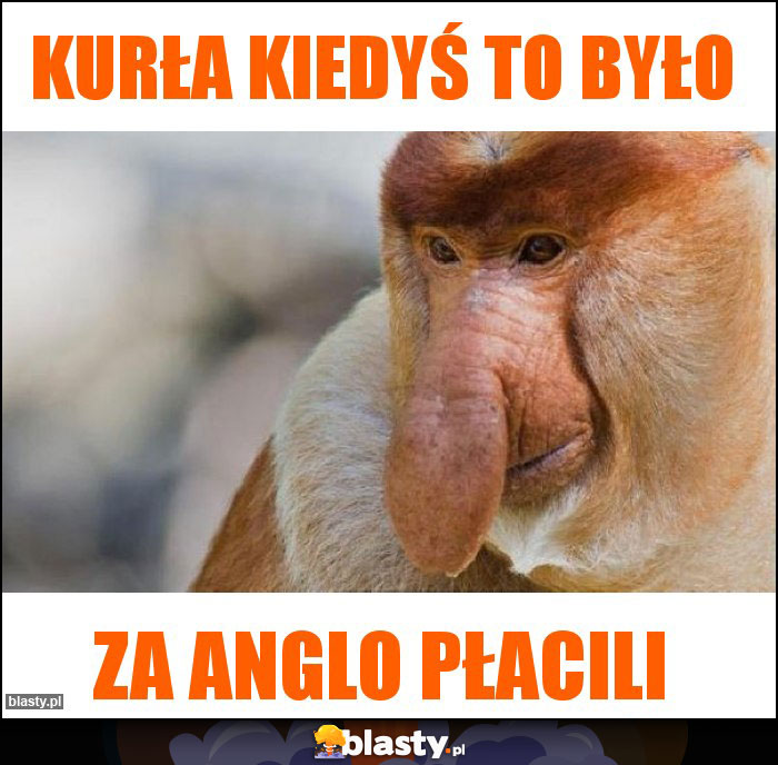 KURŁA KIEDYŚ TO BYŁO