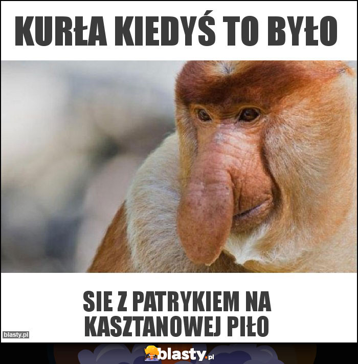 Kurła kiedyś to było