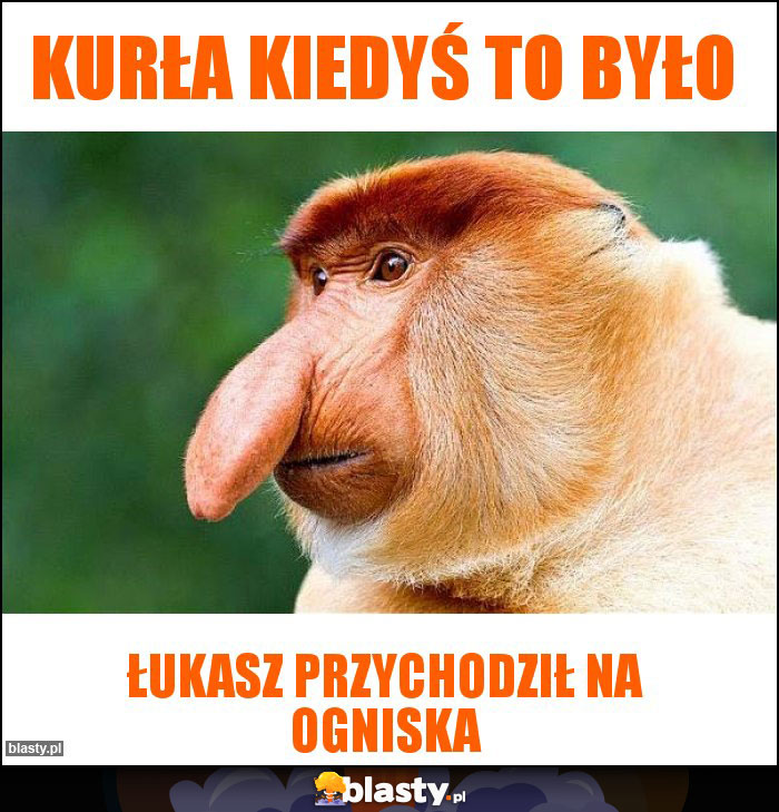 Kurła kiedyś to było