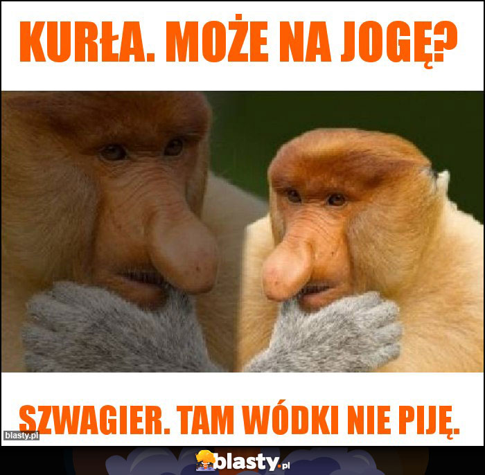 Kurła. Może na jogę?